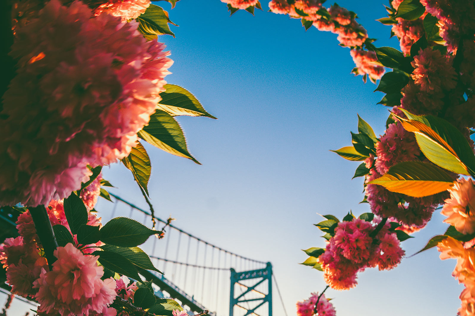 Como a Meditação Transforma o Dia-a-Dia: Mente Calma, Controle Emocional e Crescimento Espiritual
